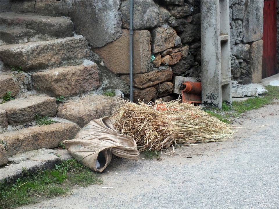 The traces of human presence, of their daily routine...