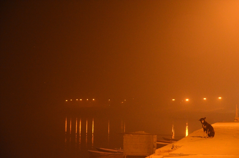 Forlorn dog in the mist of the Ganges
