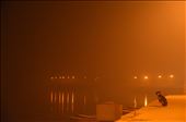 Forlorn dog in the mist of the Ganges: by thelukeandrews, Views[204]