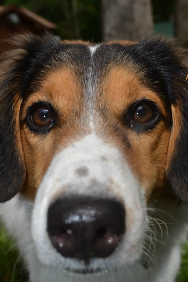 A face no one can deny the cuteness.