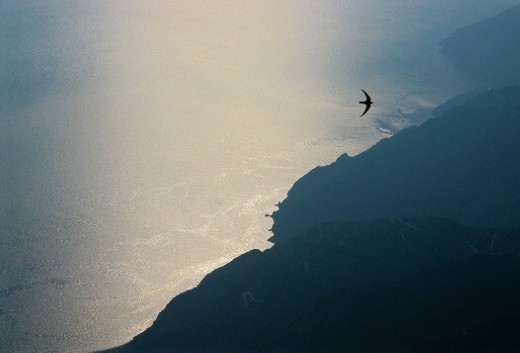 As the sun walks to the sunset, just in front your feet the incredible chaos, leading from the height of 2000 meters straight to the shores of the peninsula.