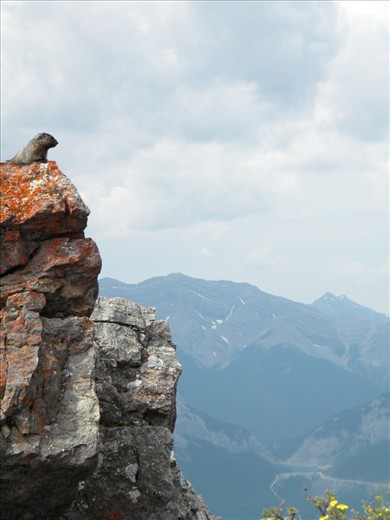 Appreciation for your surroundings is not limited to just us humans.    -Lady Mac, AB, Canada