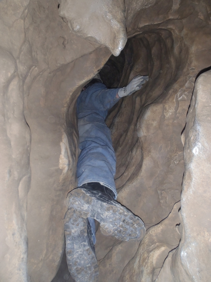 Curiosity, a sense of adventure and balls. The 3 things needed to think squeezing yourself head first down a hole is a bright idea.    -Caving, Rats Nest, AB, Canada.