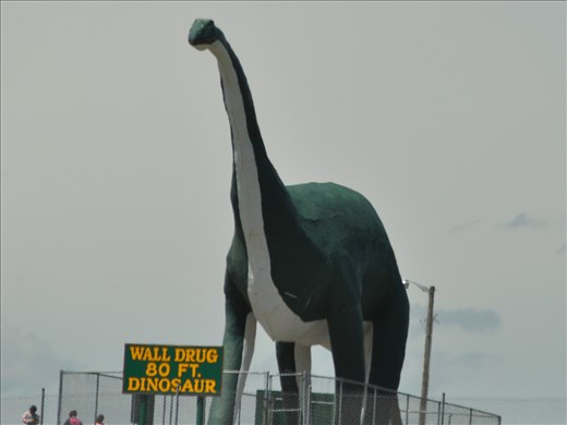 This one is for JT - he loves dinosaurs