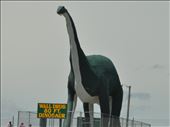 This one is for JT - he loves dinosaurs: by theparsons, Views[244]