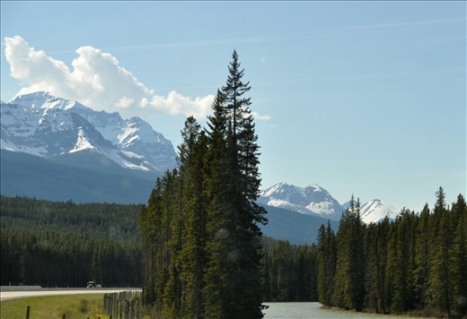 Bobby enjoying the mountains