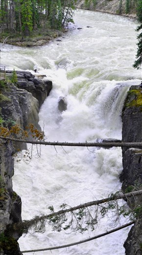 Sunwapta Falls.  