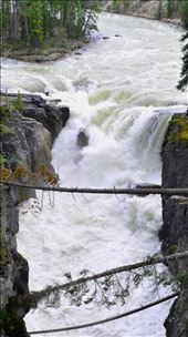 Sunwapta Falls.  : by theparsons, Views[235]