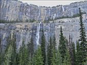 The Weeping Wall.  This is running due to the glacier melt.  During the winter rock climbers like to climb when it is frozen.: by theparsons, Views[207]