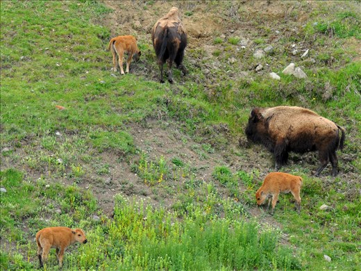 There were babies everywhere!
