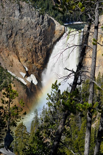 Another view of the Grand Canyon on Yellowstone.