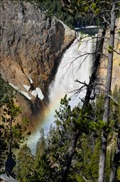 Another view of the Grand Canyon on Yellowstone.: by theparsons, Views[179]