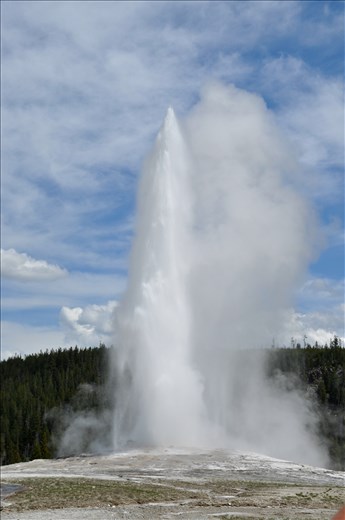 Old Faithful