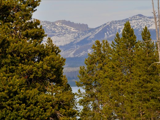 The view from our camper at Bay Bridge