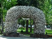 The famous arch in Jackson.  It is made up of elk horns from the Elk Refuge.: by theparsons, Views[259]