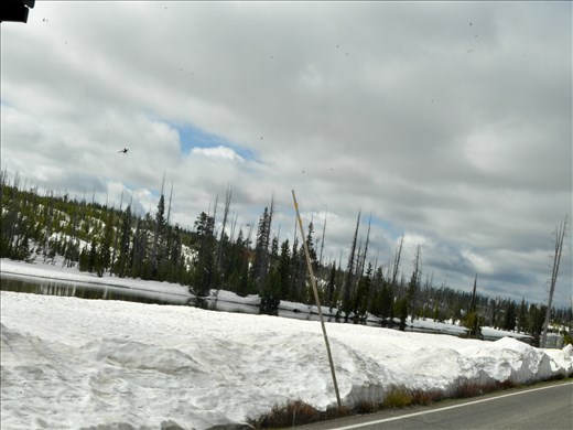 Snow, snow and more snow.