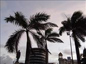 Recife Downtown: by theplaceilive, Views[289]