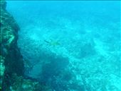 by theresa, Views[278]