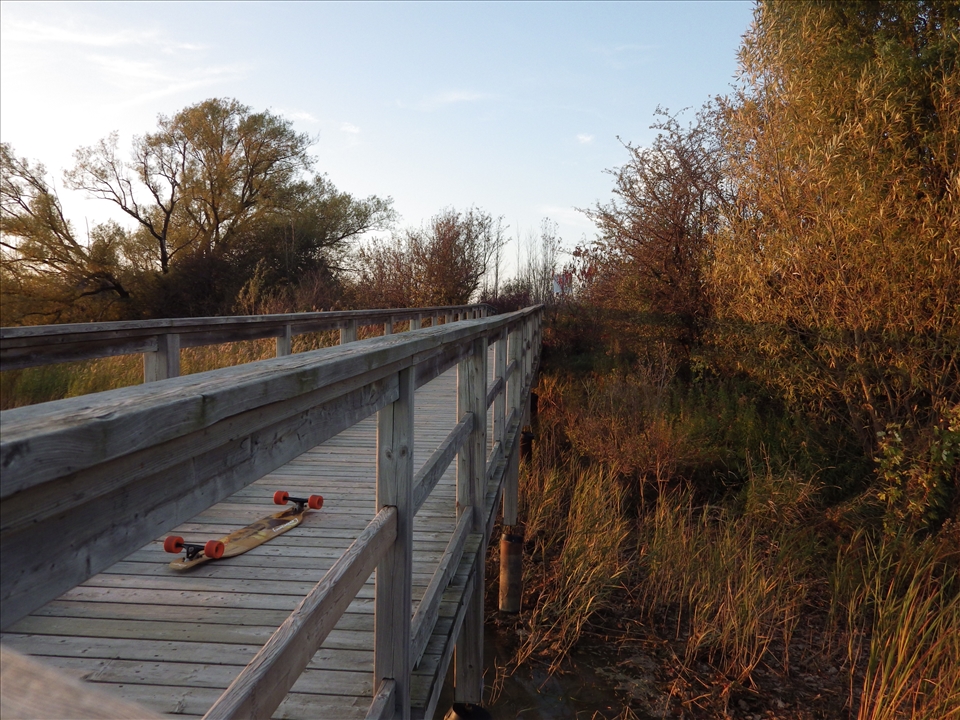 Longboarding the pier; in beauty.