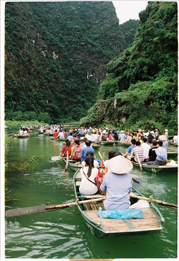 We are moving together to see the beauty of Trang An limestone mountains and the ecosystem sticking to them. After the light rain, the sight is much more gorgeous and attractive.