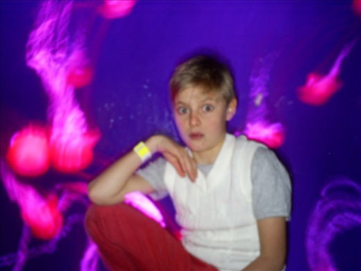 freaky at the lost chambers aquarium