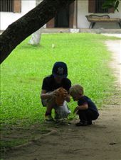 by theus, Views[249]