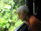 on the train to Kandy... 3 hours... after 3 hours from WEligama to Colombo... we ate biscuits!: by theus, Views[362]