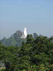 by theus, Views[196]