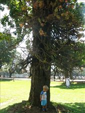 by theus, Views[184]