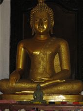 by theus, Views[211]