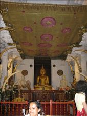 by theus, Views[229]