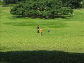 rolling down the hill... itchy and scratchy but lots of fun.: by theus, Views[311]
