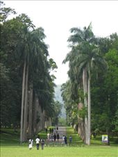 by theus, Views[194]