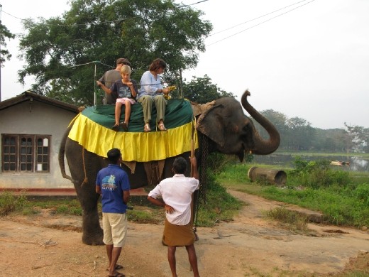 It is a lot higher than you think. Hold on!