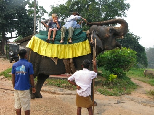 She is called Pearl.(Motu)