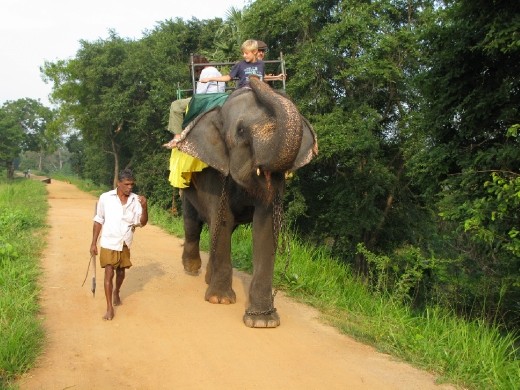 Feeading her bananas
