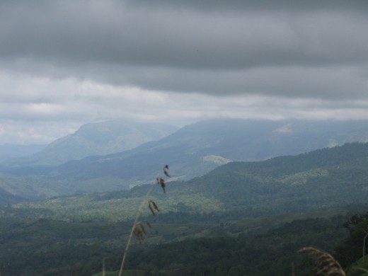 the views are amazing