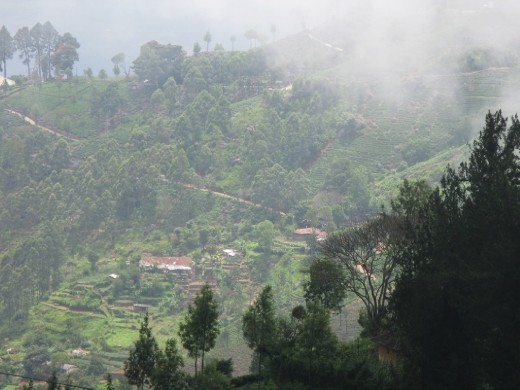 up in the clouds by the afternoon