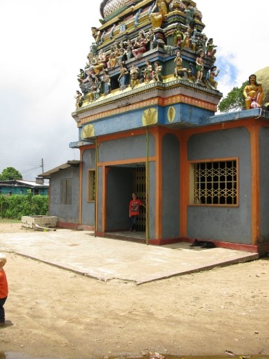 the tea pickers are Tamil, this is Dambatenne's temple
