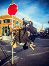 Argyle Street, Halifax: by thewanderingcanadian, Views[165]