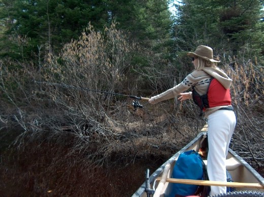 Trout Fishing in New Brunswick