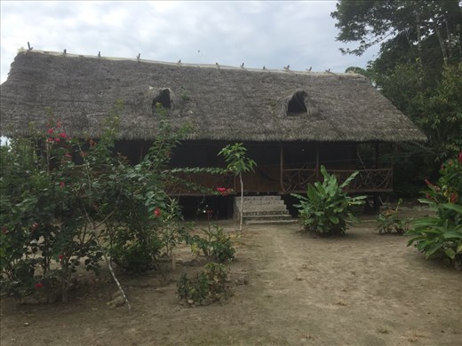 Amazon - accomodations