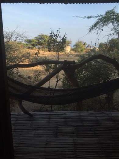 View from room; Zorritos, Peru