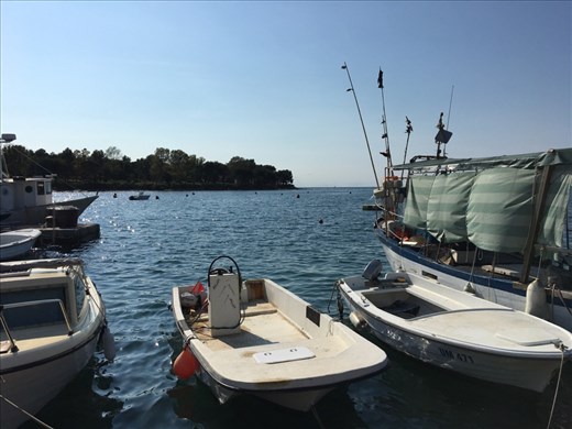 Harbour at Saveudrija