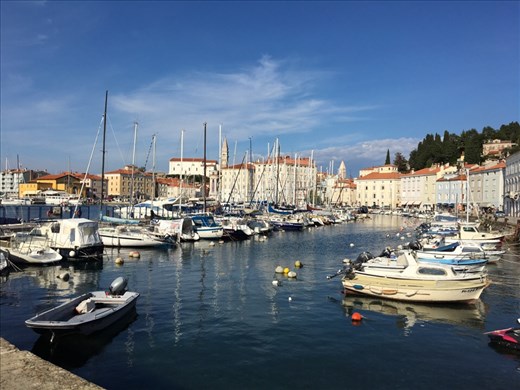 Piran 