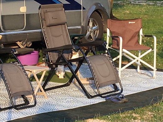 Kittens making themselves at home