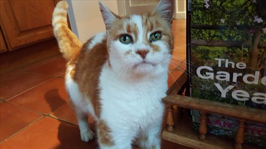 Littly how did you get in this album!