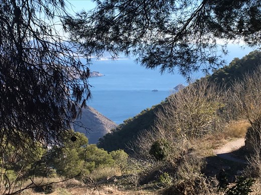 View from walk with Willy and all