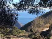 View from walk with Willy and all: by thewanderingwaterfields, Views[221]