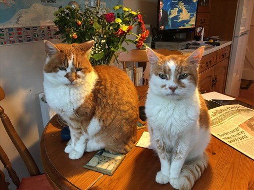 Welcome Home Mum and dad